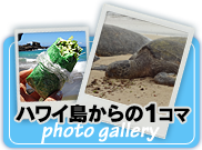 ハワイ島からの1コマ photo gallery