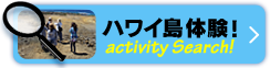 ハワイ島体験! Activity Search!